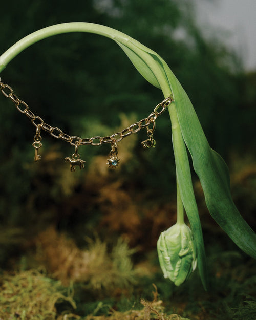 Alba Charm