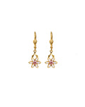 Flower Six Petal Crystal Hooks