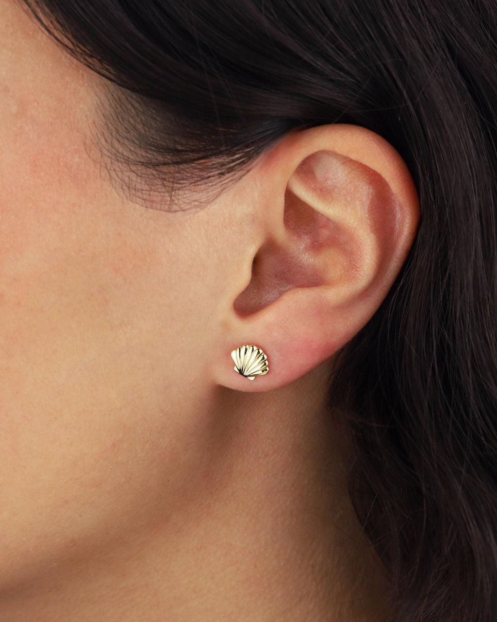 Shell Studs