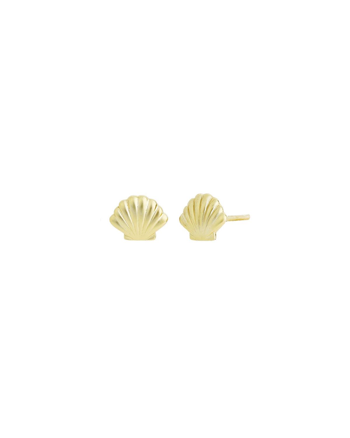 Shell Studs