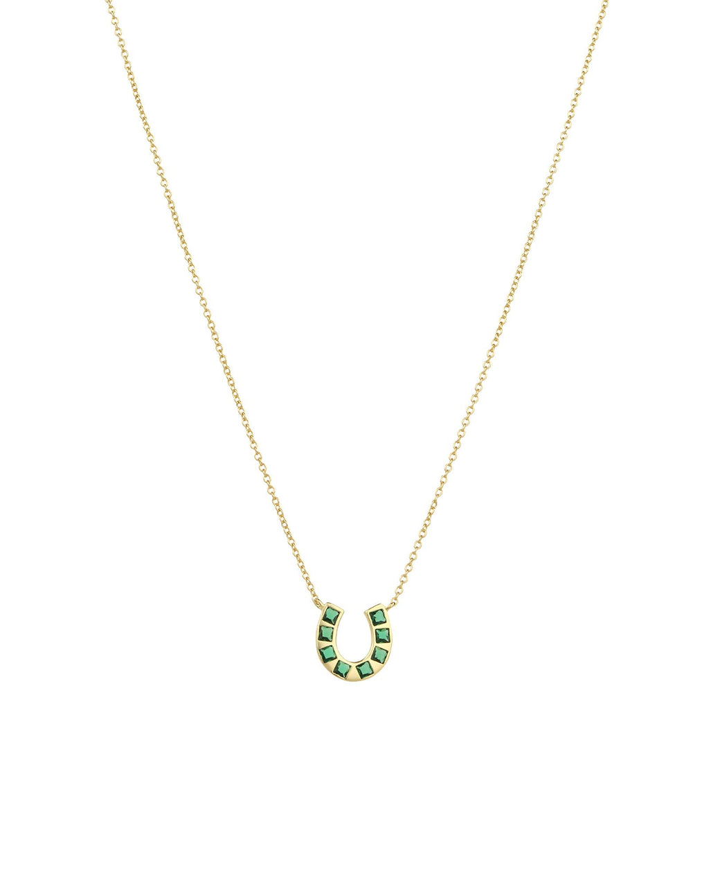 Horseshoe Necklace