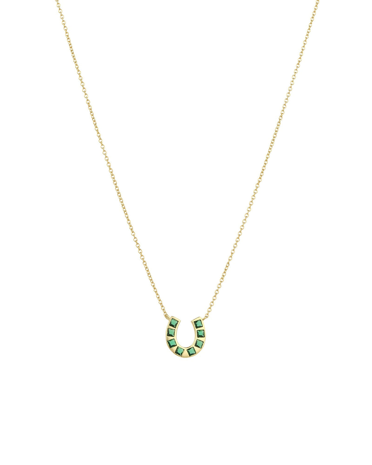 Horseshoe Necklace